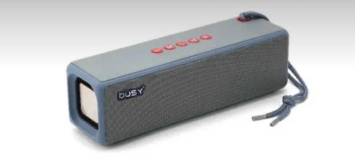 Bluetooth zvučnik portabl